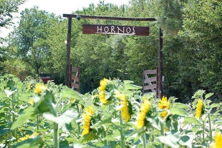 Agriturismo Hornos Numana Exterior foto